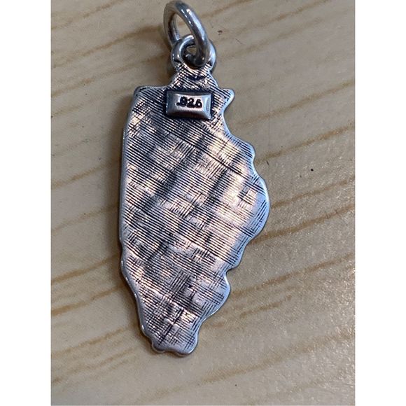 .925 State of Illinois #travel #Chicago - Picture 3 of 3